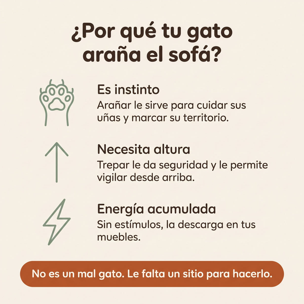 Por qué tu gato araña el sofá: instinto, necesidad de altura y energía acumulada